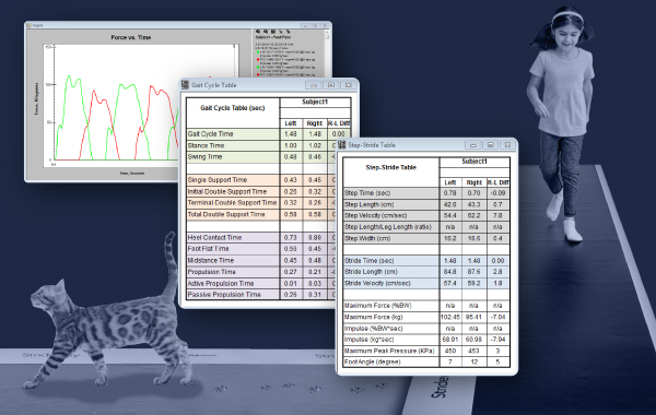 what's new in strideway 7.8